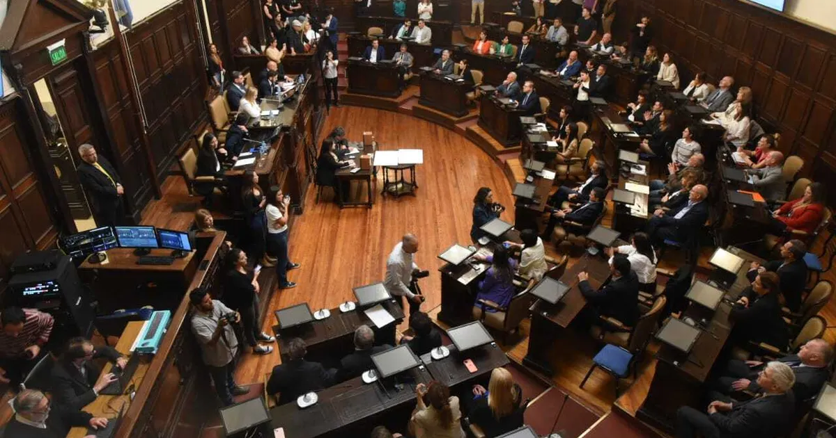 Comunidad Vinculada: una reforma para el futuro previsional de los profesionales en Ciencias Económicas